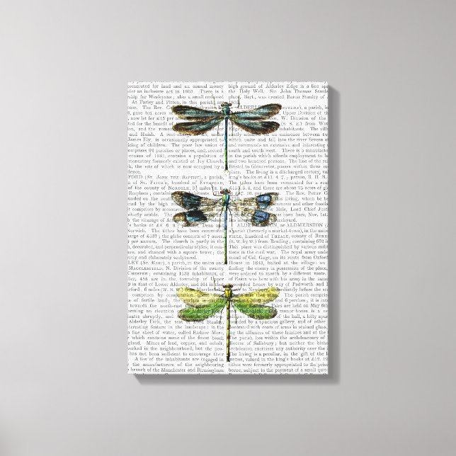 Dragonflies Print 3 (Front)