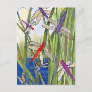 Dragonflies Summer Postcard