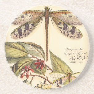 Dragonflies with Leaves and Fruit Coaster