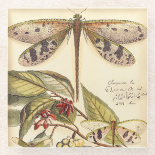 Dragonflies with Leaves and Fruit Glass Coaster