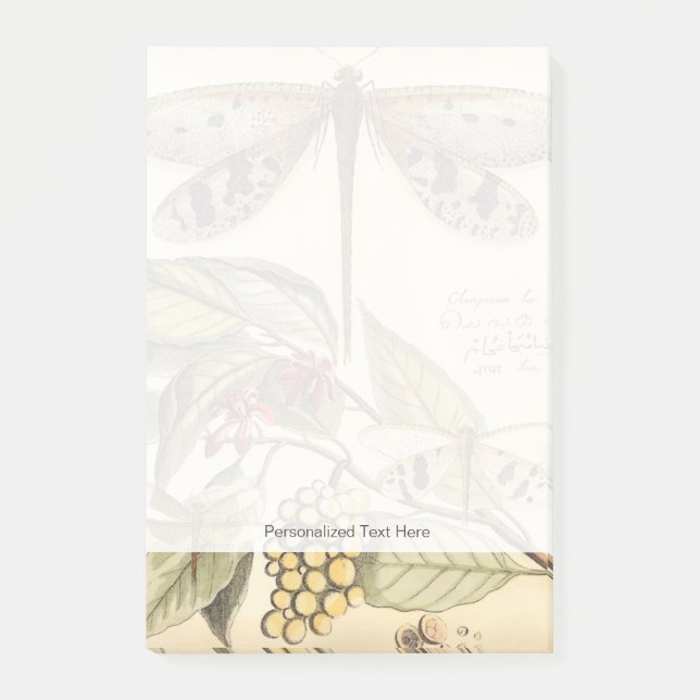 Dragonflies with Leaves and Fruit Post-it Notes (Front)