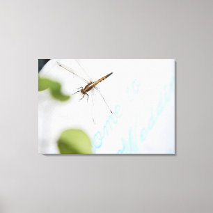 Dragonfly 12 canvas print
