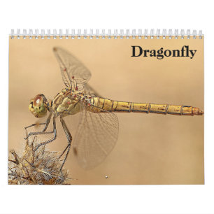 Dragonfly 2025 calendar