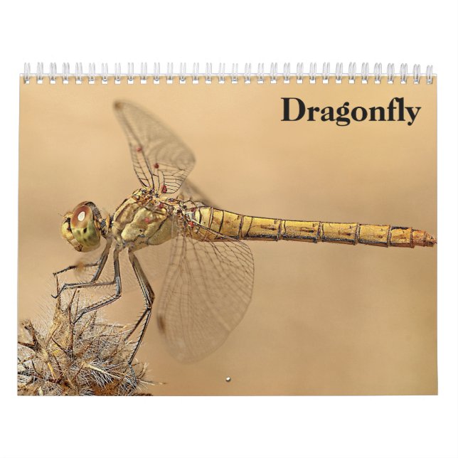 Dragonfly 2026 calendar (Cover)
