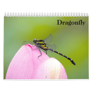 Dragonfly 2026 calendar