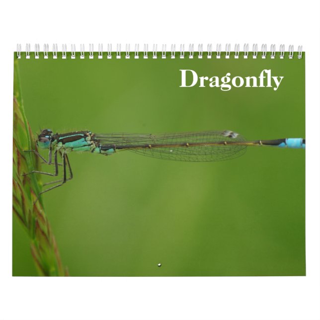 Dragonfly 2026 calendar (Cover)