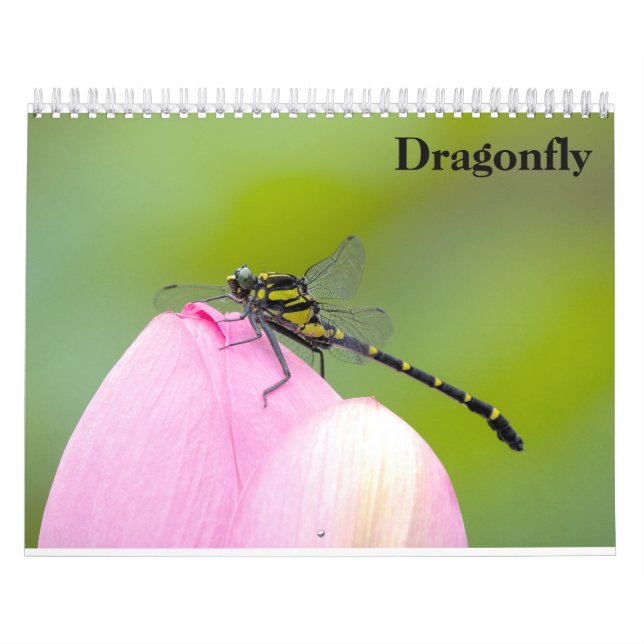 Dragonfly 2027 calendar (Cover)