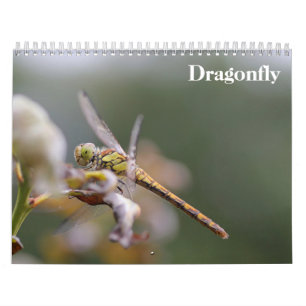Dragonfly 2027 calendar