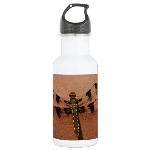 Dragonfly 532 Ml Water Bottle