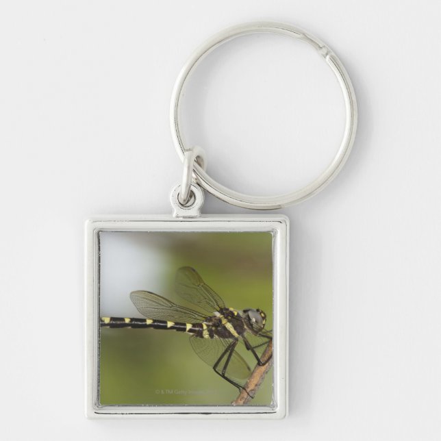 Dragonfly 5 key ring (Front)