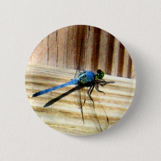 Dragonfly 6 Cm Round Badge