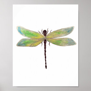 Dragonfly 8x10 Print