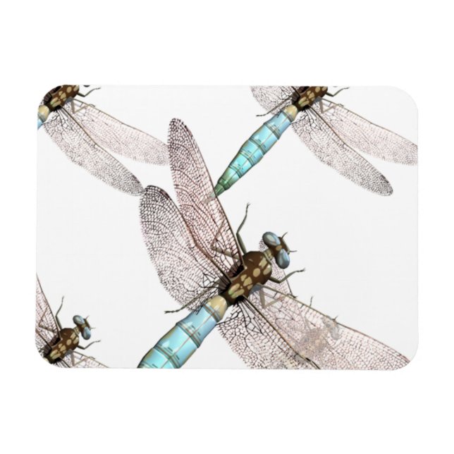Dragonfly Air Force on White Magnet (Horizontal)