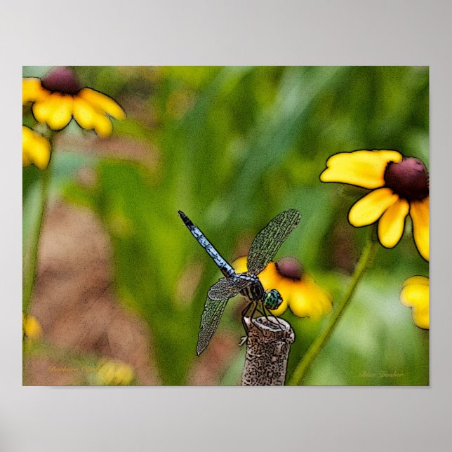 Dragonfly and Daisies Poster (Front)