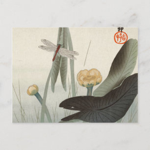 Dragonfly and Lotus, 1920 by Ohara Koson Postcard