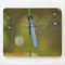 Dragonfly at rest on a mousepad