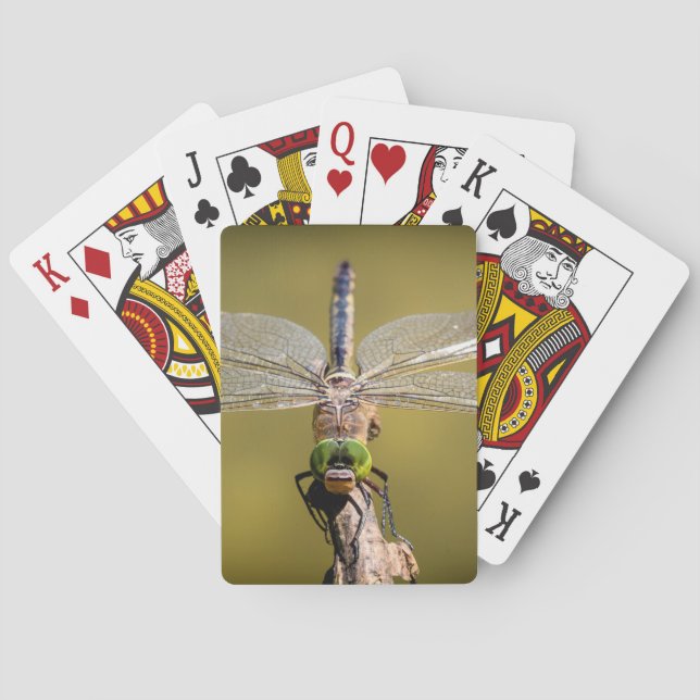 Dragonfly at rest playing cards (Back)
