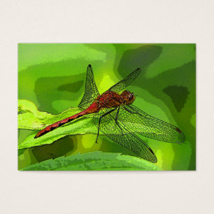 Dragonfly ATC