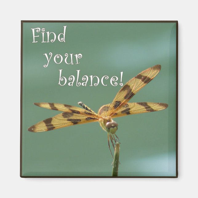 Dragonfly Balance Magnet (Front)
