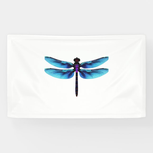 dragonfly                  banner (Horizontal)