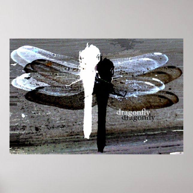 Dragonfly (black and white seperation) poster (Front)