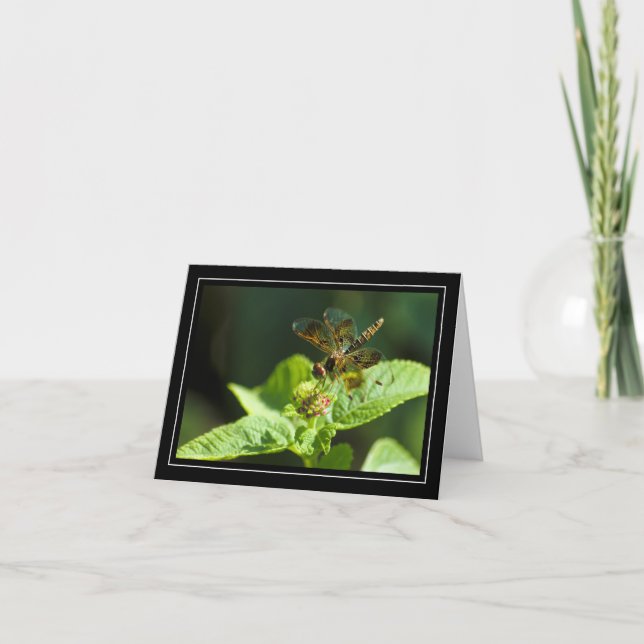 Dragonfly Blank Note Card (Front)