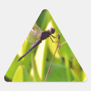 Dragonfly Blue and black on grass. Triangle Sticker