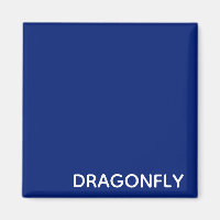 Dragonfly blue colour name