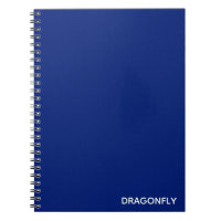 Dragonfly blue colour name