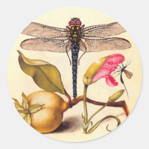 Dragonfly Botanical Nature Wildlife Classic Round Sticker
