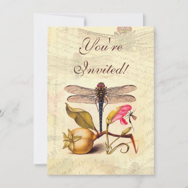 Dragonfly Botanical Nature Wildlife Hoefnagel Art Invitation (Front)
