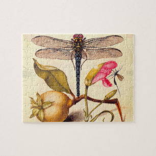 Dragonfly Botanical Nature Wildlife Hoefnagel Art Jigsaw Puzzle