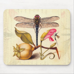 Dragonfly Botanical Nature Wildlife Hoefnagel Art Mouse Pad
