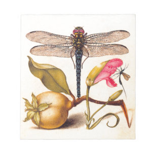 Dragonfly Botanical Nature Wildlife Hoefnagel Art Notepad