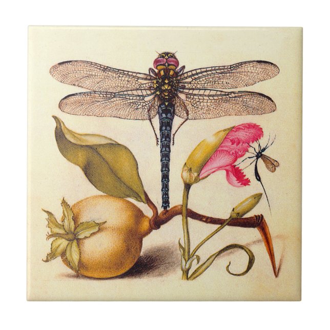 Dragonfly Botanical Nature Wildlife Hoefnagel Art Tile (Front)