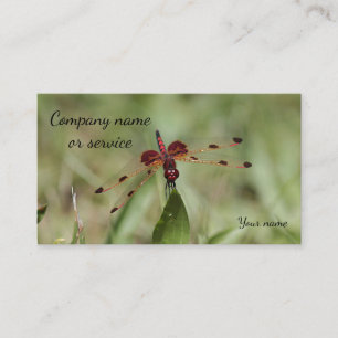 Dragonfly Business Card
