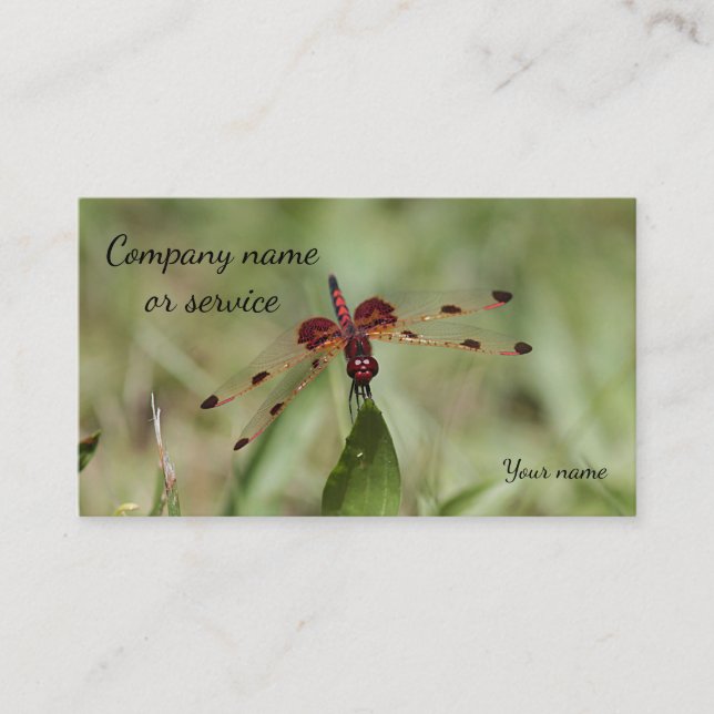 Dragonfly Business Card (Front)