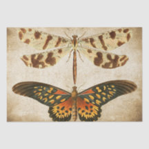 Dragonfly Butterfly decoupage