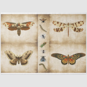 Dragonfly Butterfly moth decoupage-Tissue-Paper  Tissue Paper