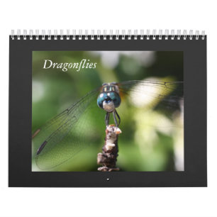 Dragonfly Calendar 2011