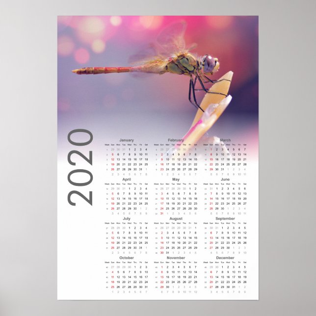 Dragonfly Calendar 2020 Poster (Front)