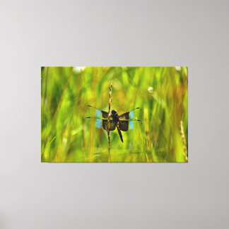 Dragonfly Canvas Print