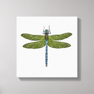 Dragonfly Canvas Print