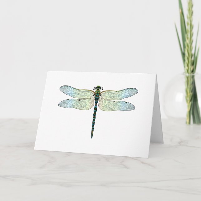 DragonFly Card (Front)
