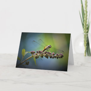 Dragonfly, card