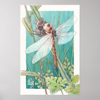 Dragonfly card 6 poster