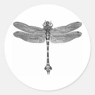 Dragonfly Classic Round Sticker