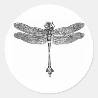 Dragonfly Classic Round Sticker