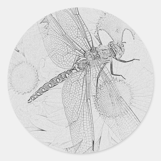 Dragonfly Classic Round Sticker (Front)