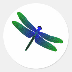 Dragonfly Classic Round Sticker